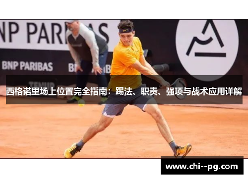 西格诺里场上位置完全指南：踢法、职责、强项与战术应用详解