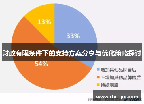 财政有限条件下的支持方案分享与优化策略探讨