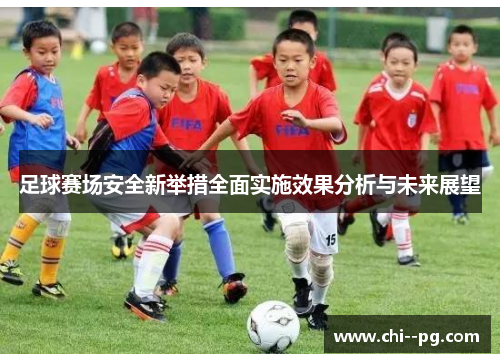 足球赛场安全新举措全面实施效果分析与未来展望