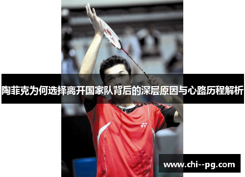 陶菲克为何选择离开国家队背后的深层原因与心路历程解析