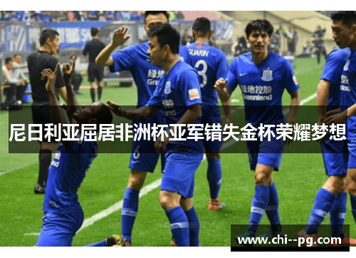 尼日利亚屈居非洲杯亚军错失金杯荣耀梦想