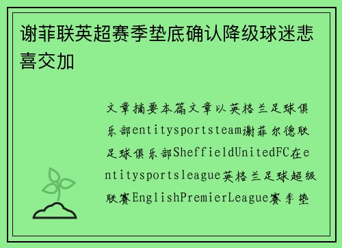 谢菲联英超赛季垫底确认降级球迷悲喜交加